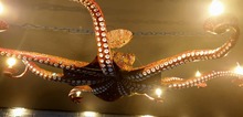 <span class=sold>** SOLD **</span>Octopus Chandelier