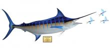 Mavi Marlin
